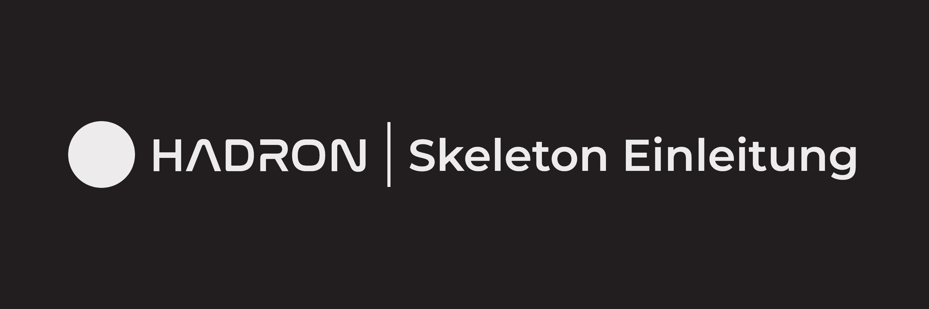 Introduction | Hadron Skeleton